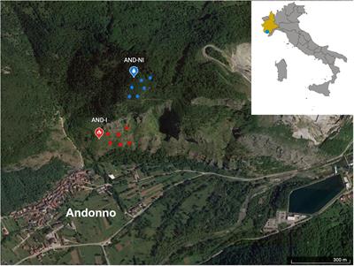 Fast soil recovery after a fire: case study in Maritime Alps (Piedmont, Italy) using microarthropods and QBS-ar index